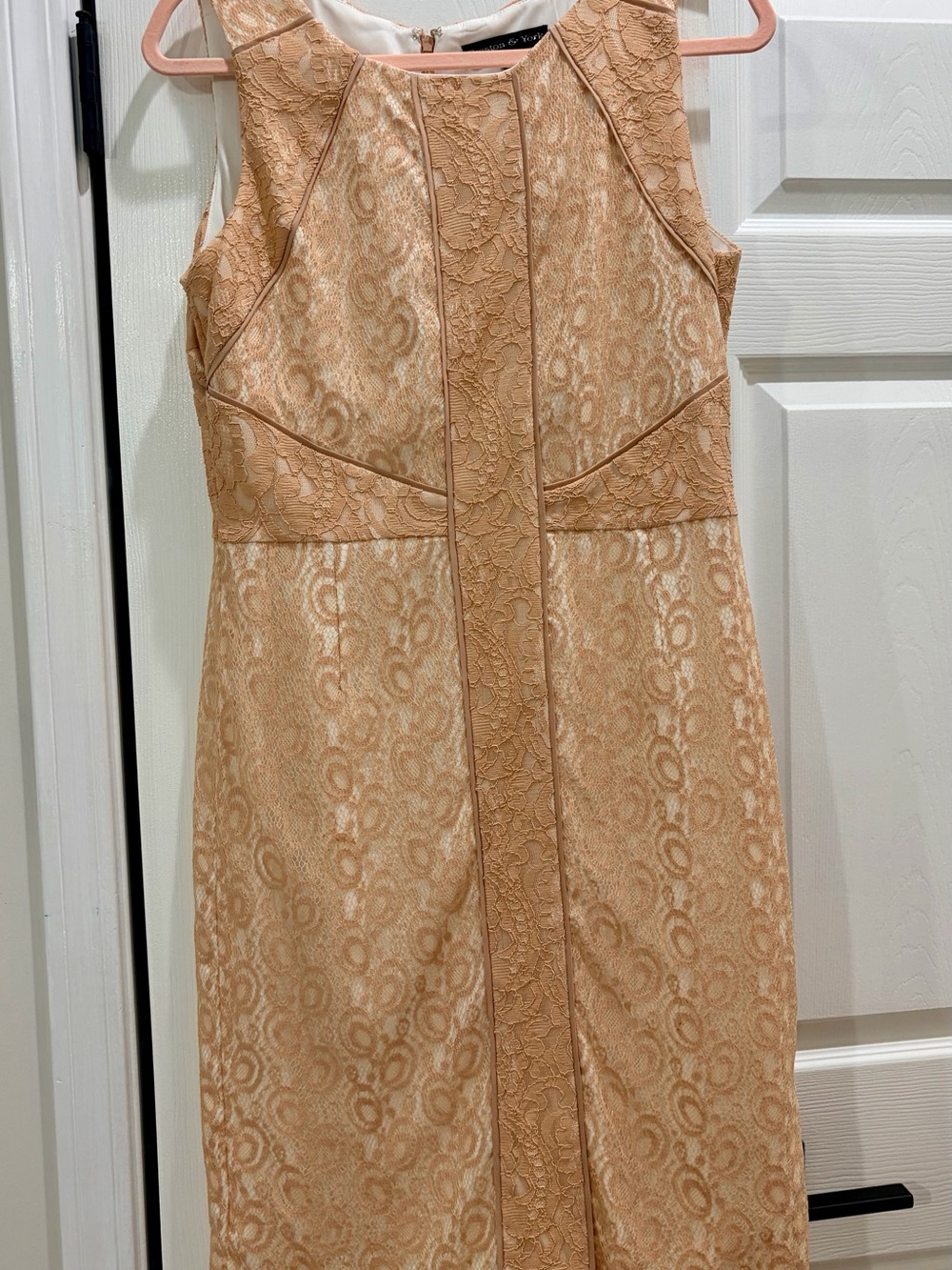 Sleeveless Lace Sheath Dress in Blush